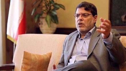 Marandi: Scenes of violence in Iran not surprising as terrorists openly admit role in riots