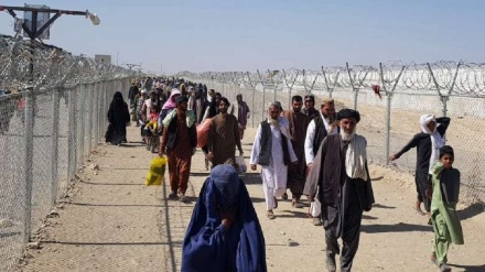 ورود مهاجران از مرز اسپین بولدک به خاک افغانستان رکورد زد