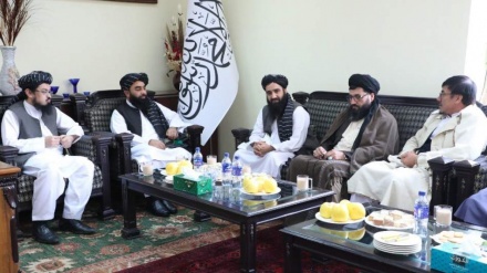 دیدار هیات کمیسیون عالی شیعیان با سخنگوی طالبان 