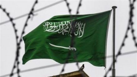  عربستان فرزند رئیس سازمان حقوق بشری وینا را بازداشت کرد