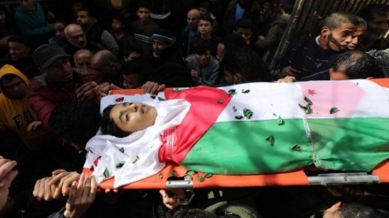 İnsan Hakları Merkezi: 164 Filistinli Siyonistlerin kurşunlarıyla şehit oldu

