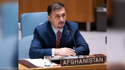 فایق: درخواست یوناما در مورد بازگشایی سفارت‌ کشورهای غربی در کابل تأسف‌ بار است