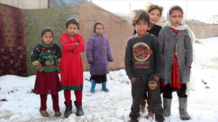 خانواده‌ های افغان و دشواری فراهم کردن غذا در زمستان