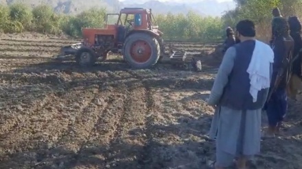 آغاز کمپاین از بین بردن مزارع تریاک در ولایت ننگرهار
