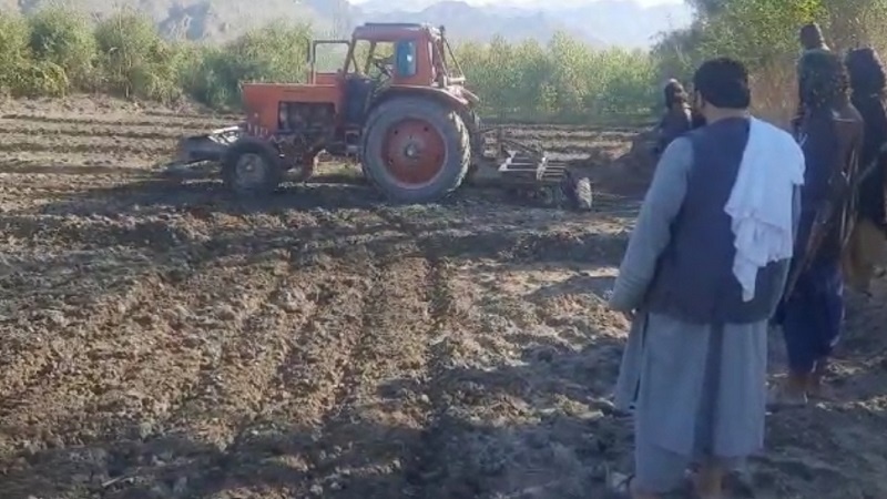 تخریب مزارع خشخاش در ننگرهار، کشاورزان و نیروهای طالبان را به جان هم انداخت