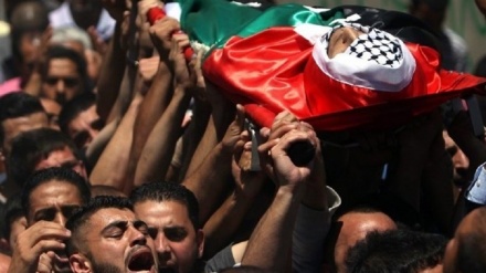 一名巴勒斯坦人在希伯伦遭到射杀而殉难