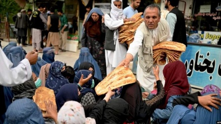 واکنش طالبان به نگرانی صلیب سرخ از بدتر شدن اوضاع اقتصادی در افغانستان