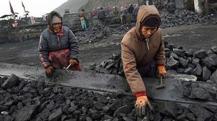 نارضایتی مردم از قیمت توزیع دولتی زغال سنگ در کابل