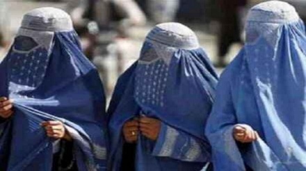 محروم ساختن زنان از کار در افغانستان موجب روی آوردنشان به کشت مواد مخدر شده است