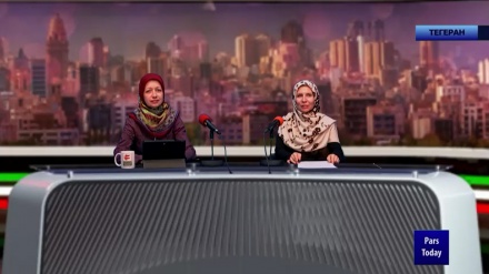 ТВ-ЭФИР - 22 ноября 2022