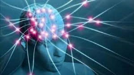 Gli scienziati hanno mostrato la formazione dei ricordi in un cervello vivente