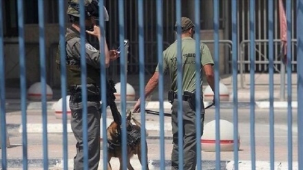 ۲۱ روزنامه نگار فلسطینی در زندان های رژیم صهیونیستی محبوس هستند