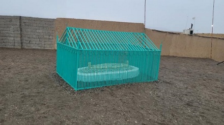 طالبان از مقبره 