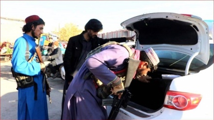 طالبان بروشور راهنمایی و رانندگی بین رانندگان توزیع کردند