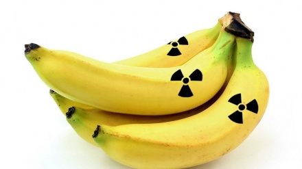 Le banane sono davvero radioattive? La risposta degli scienziati