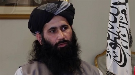 سفیر طالبان در قطر: نشست دوحه تشریفاتی است