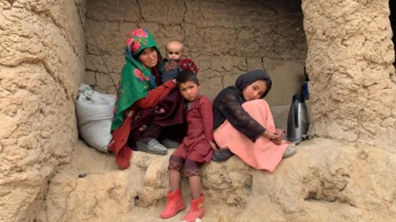 برنامه توسعه سازمان ملل: بهبود وضعیت معیشتی افغان‌ها در دستور کار است