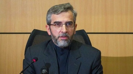 イラン外務次官、「西側のテロとの戦い・人権擁護は偽物」