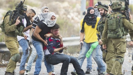 15 palestinezë u plagosën në sulmin e forcave sioniste në Bregun Perëndimor