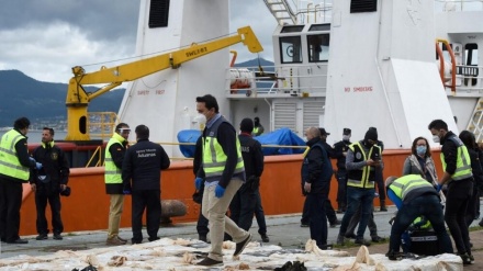 Droga, Spagna, maxi sequestro, 50 tonnellate di cannabis