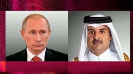 Putin ile Katar Emiri arasındaki görüşmede Dünya Kupası ele alındı