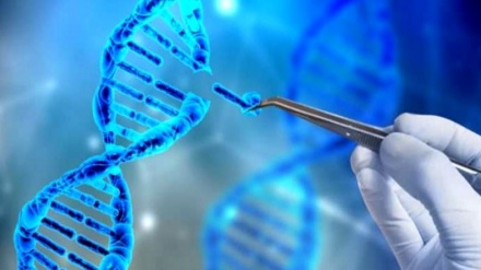 رونمایی از فاز اول پروژه ژن درمانی در ایران در مرکز طبی کودکان 