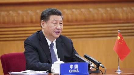 习近平在二十国集团领导人第十七次峰会第一阶段会议上的讲话