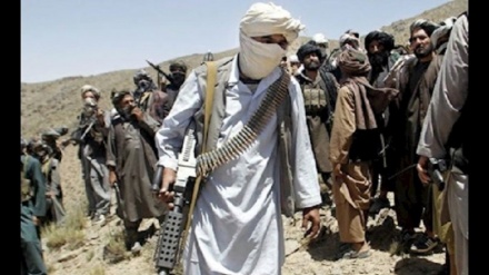 جزئیات درگیری در دایکندی از قول سخنگوی کابینه طالبان