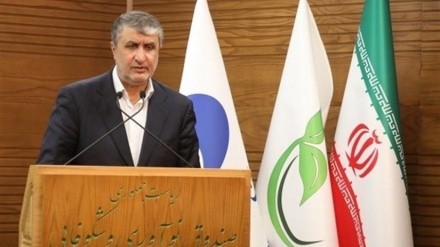 מוחמד איסלאמי: אימוץ החלטה בסבא