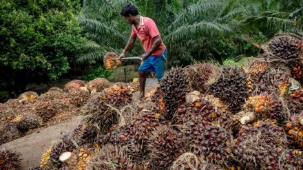 Malaysia Dukung Indonesia Lawan Aturan Baru Uni Eropa