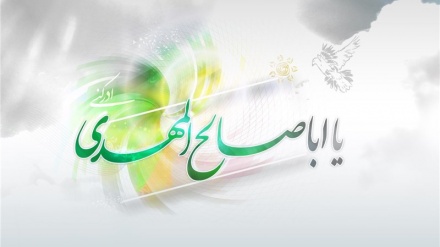 Tosə Zuhuri Cımə-131