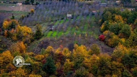 Gülistan ormanlarının rengarenk sonbahar güzelliği