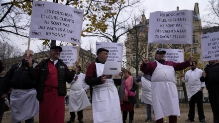تجمع اعتراضی در فرانسه در اعتراض به افزایش هزینه‌ های مواد غذایی