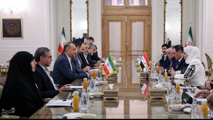 Suriye Parlamentosu Dostluk Grubu Başkan Yardımcısı Emir Abdullahiyan ile görüştü