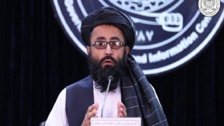 طالبان: آمار دقیقی از بیکاران وجود ندارد