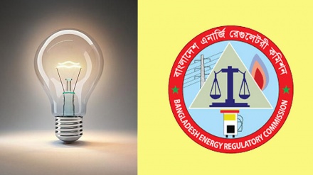 বিদ্যুতের দাম ২০ শতাংশ বৃদ্ধি: বাজারব্যবস্থা টালমাটাল হওয়ার আশঙ্কা  