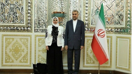  دیدار نایب رئیس گروه دوستی پارلمانی سوریه با امیرعبداللهیان