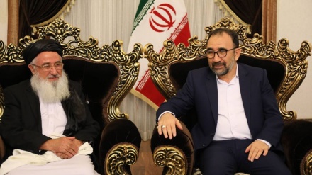 وزیر اقتصاد طالبان: رسانه‌های خارجی قصد ارائه تصویری ناامن از ایران را دارند
