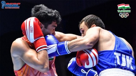 درخشش بوکسورهای تاجیک درمسابقات قهرمانی اسیا