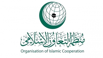 İslam İşbirliği Teşkilatı, Birleşmiş Milletler'in Filistin'e yönelik eylemini memnuniyetle karşıladı