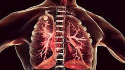 Infezioni polmonari fungine sempre più diffuse