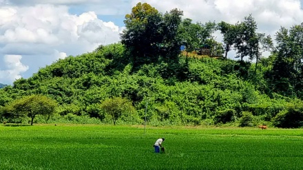 তমব্রু সীমান্তে ডিজিএফআই কর্মকর্তা নিহত: বিশ্লেষকের প্রতিক্রিয়া