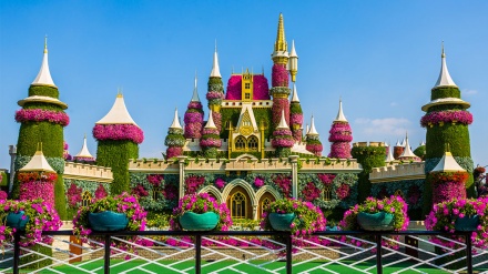 Dubai Miracle Garden - der größte Blumengarten der Welt
