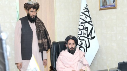 فرمانده جدید نیروی هوایی طالبان منصوب شد