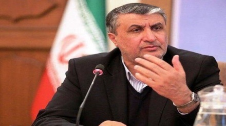  رئیس سازمان انرژی اتمی : قدرت هسته‌ای ایران قابل نفی نیست
