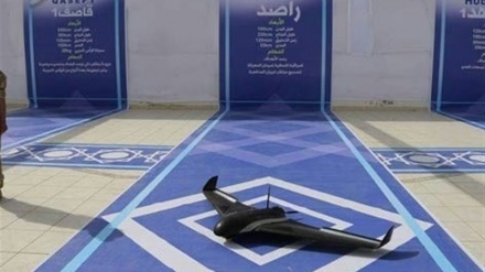 האם התקדים של כריש יחזור על עצמו באי סוקוטרה?