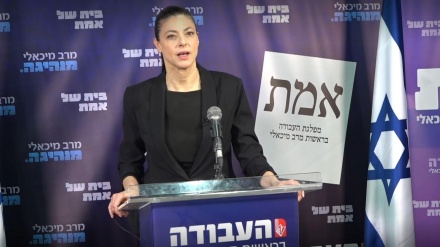 מיכאלי לפעילי מפלגת העבודה: אני אחראית לתוצאה הנמוכה בבחירות