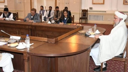 حنفی: برای اجرای طرح های مشترک منطقه ای با پاکستان آماده ایم