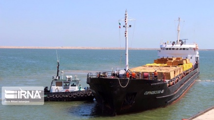  Iranian ship carrying $1 mln worth of fruits sinks in Persian Gulf 