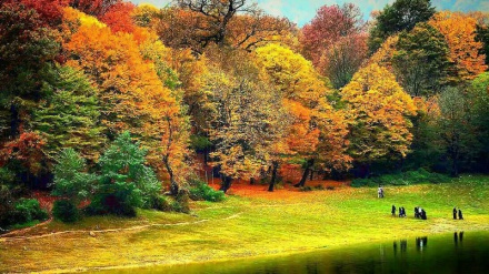 北部ゴレスターン州の色鮮やかな秋